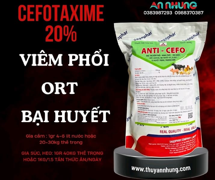 SAGOPHAR ANTI CEFO - Cefotaxime 1kg