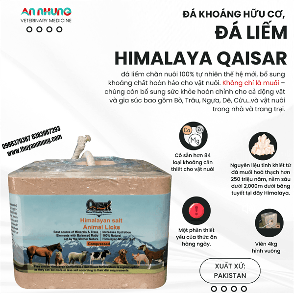 Đá liếm VUÔNG Đỏ Hymalaya Pakistan - 4 viên/ Thùng 16kg