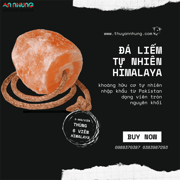 Đá Liếm Qaisar - Đá tự nhiên Hymalaya - 6 viên/ thùng - 16kg