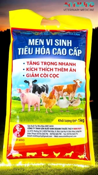 MINH HUY MEN ENZYM - VI SINH TIÊU HÓA CAO CẤP 1kg - MEN VÀNG