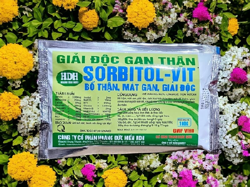 HDH Giải Độc Gan Thận - sorbitol vit